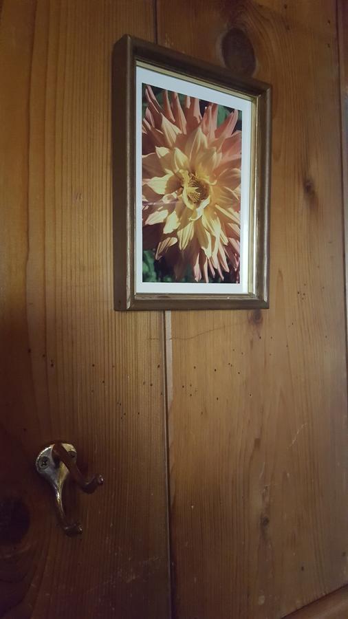 Bluebird Cottage Inn 爱德怀 外观 照片