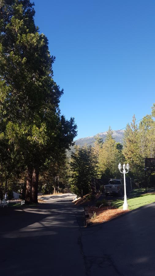 Bluebird Cottage Inn 爱德怀 外观 照片